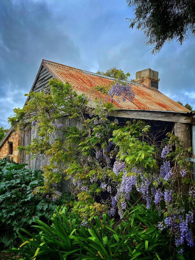 Cherry Plum Cottages Порт Феъри Екстериор снимка